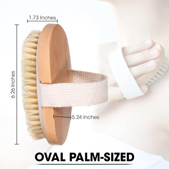 SOLD Natural Bristle Exfoliating Body Brush for Dry/Wet Skin Improve Circulation - Picture 6 of 7